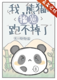 我，熊貓，揣崽跑不掉了小说封面