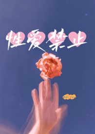 【百合】性爱禁止（双胞胎骨）小说封面